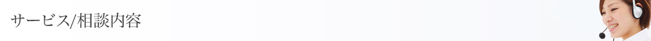 サービス/相談内容